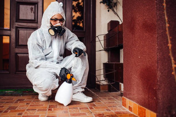 Reliable Bed Bug Control contractor in Toledo, OH by Nex Pest Control