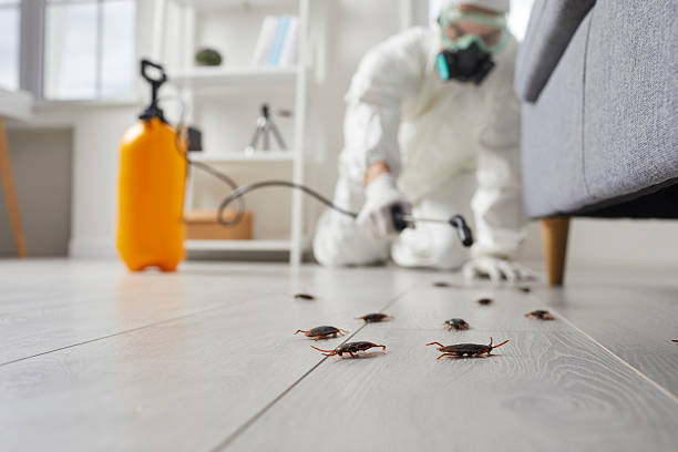Trusted Termite Control service in Toledo, OH - Nex Pest Control