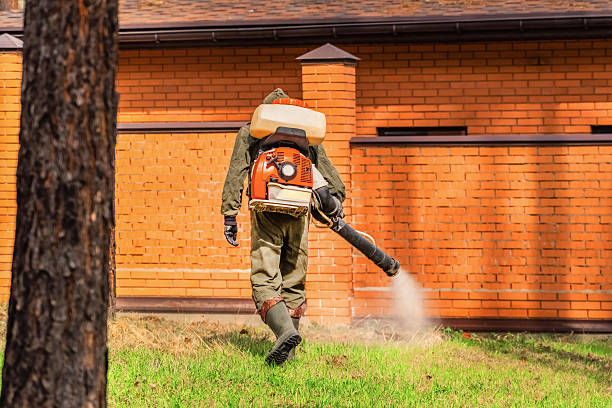 Trusted Emergency Pest Control service in Toledo, OH - Nex Pest Control